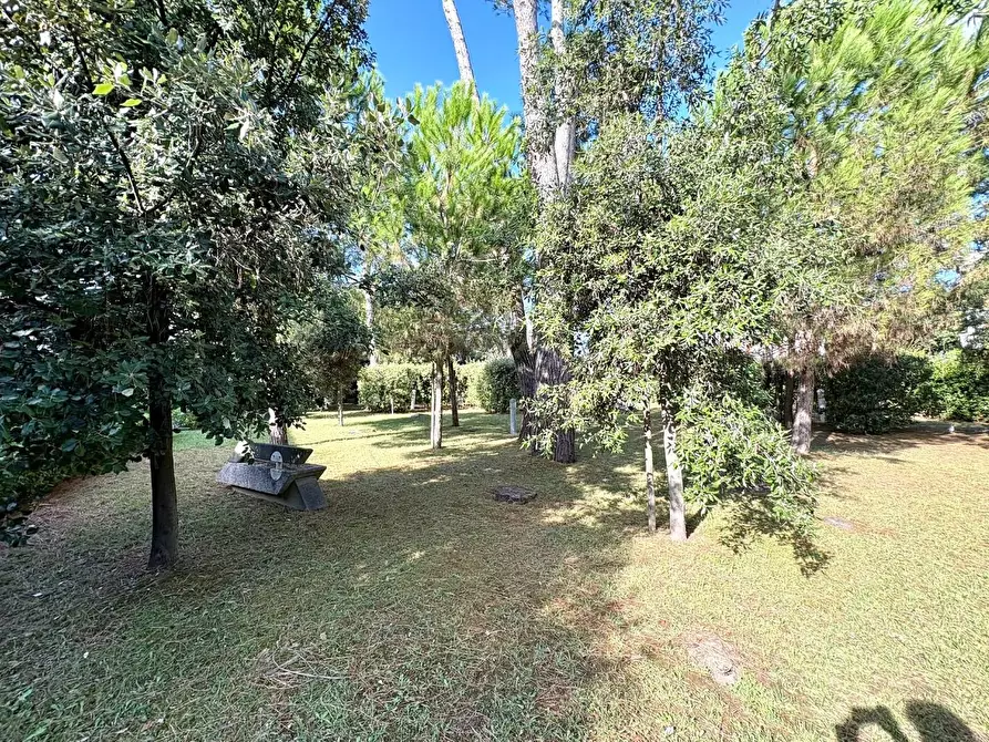 Immagine 21 di Villetta a schiera in vendita  a Massa