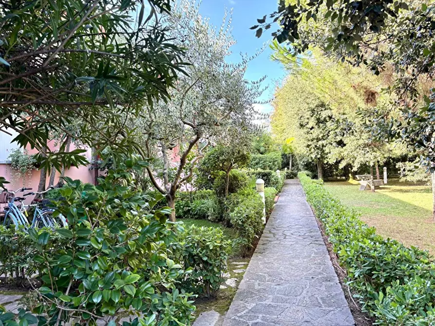 Immagine 19 di Villetta a schiera in vendita  a Massa