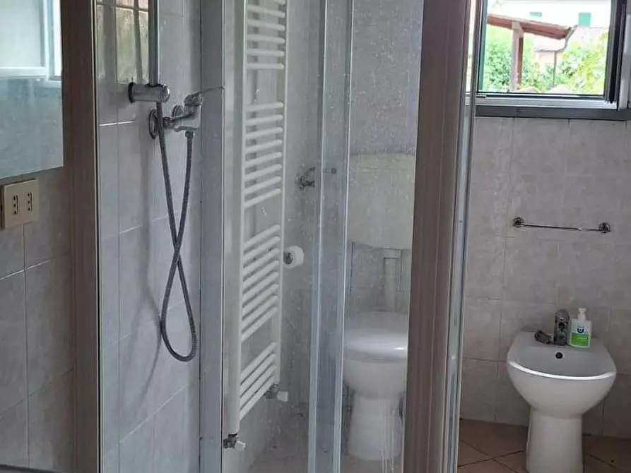 Immagine 7 di Appartamento in vendita  a Capannoli