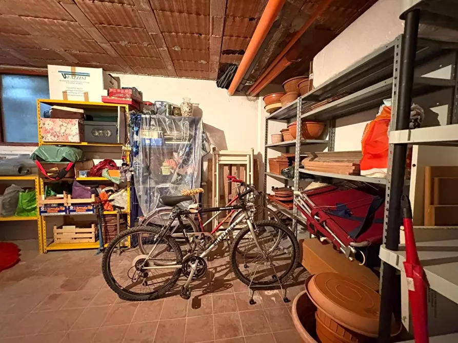 Immagine 19 di Appartamento in vendita  a Massa