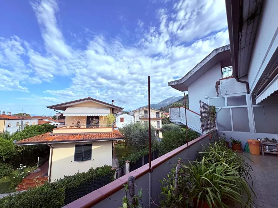 Immagine 15 di Appartamento in vendita  a Massa