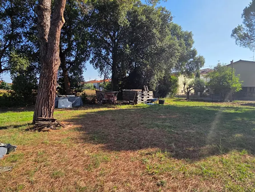 Immagine 18 di Casa indipendente in vendita  a Collesalvetti