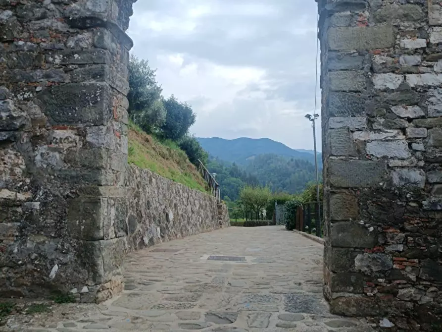 Immagine 23 di Appartamento in vendita  a Coreglia Antelminelli