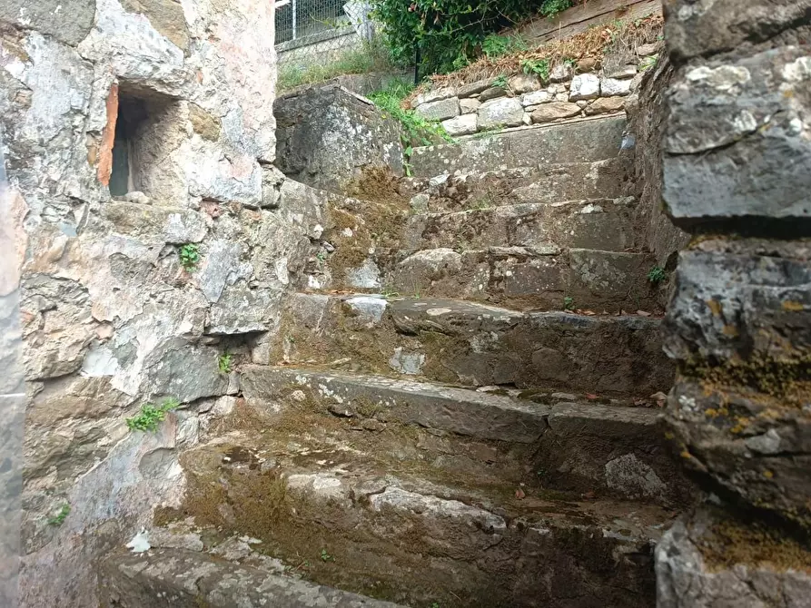 Immagine 18 di Appartamento in vendita  a Coreglia Antelminelli