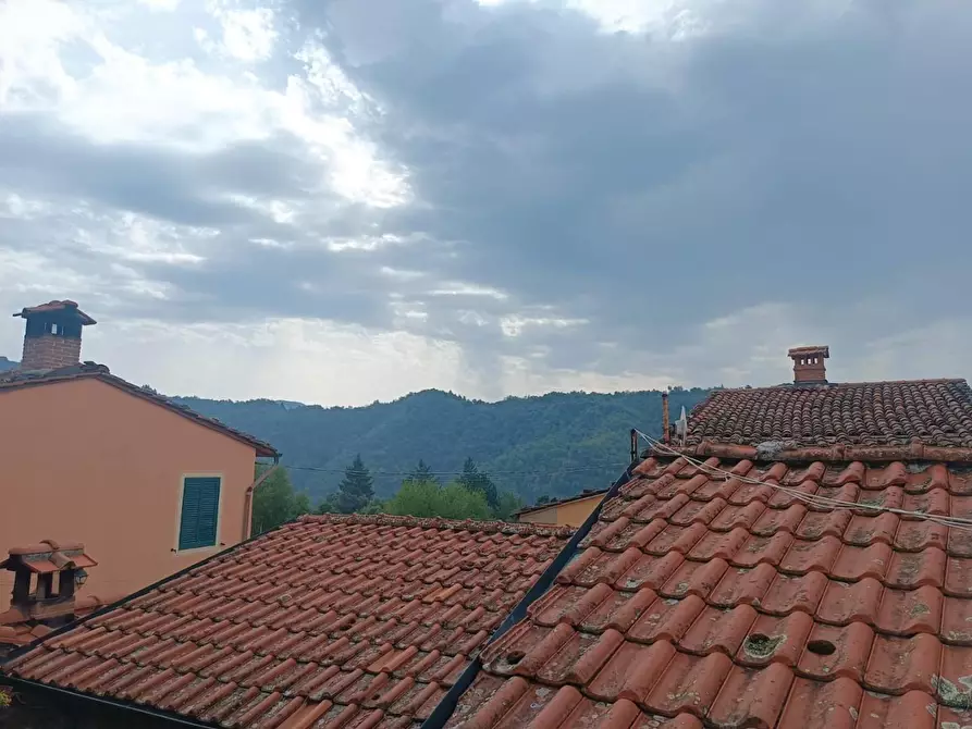 Immagine 21 di Appartamento in vendita  a Coreglia Antelminelli