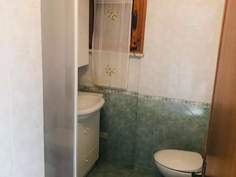 Immagine 5 di Appartamento in affitto  a Pisa