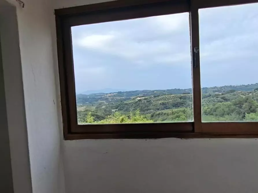 Immagine 11 di Appartamento in affitto  a Palaia