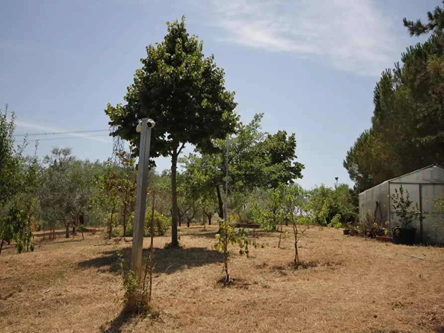 Immagine 13 di Villa in vendita  a Empoli
