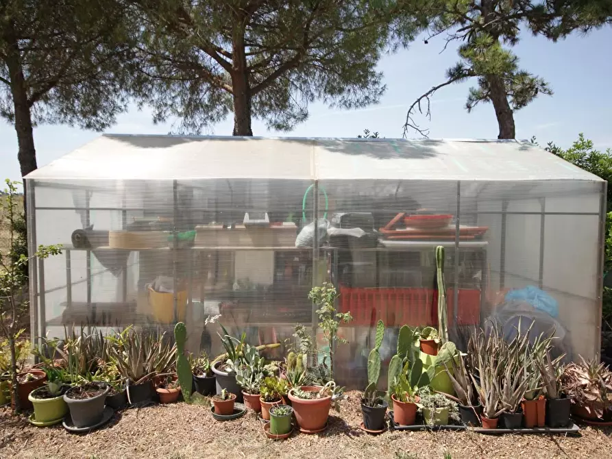 Immagine 14 di Villa in vendita  a Empoli