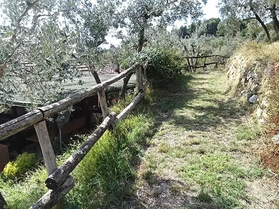 Immagine 11 di Casa colonica in vendita  a Lamporecchio