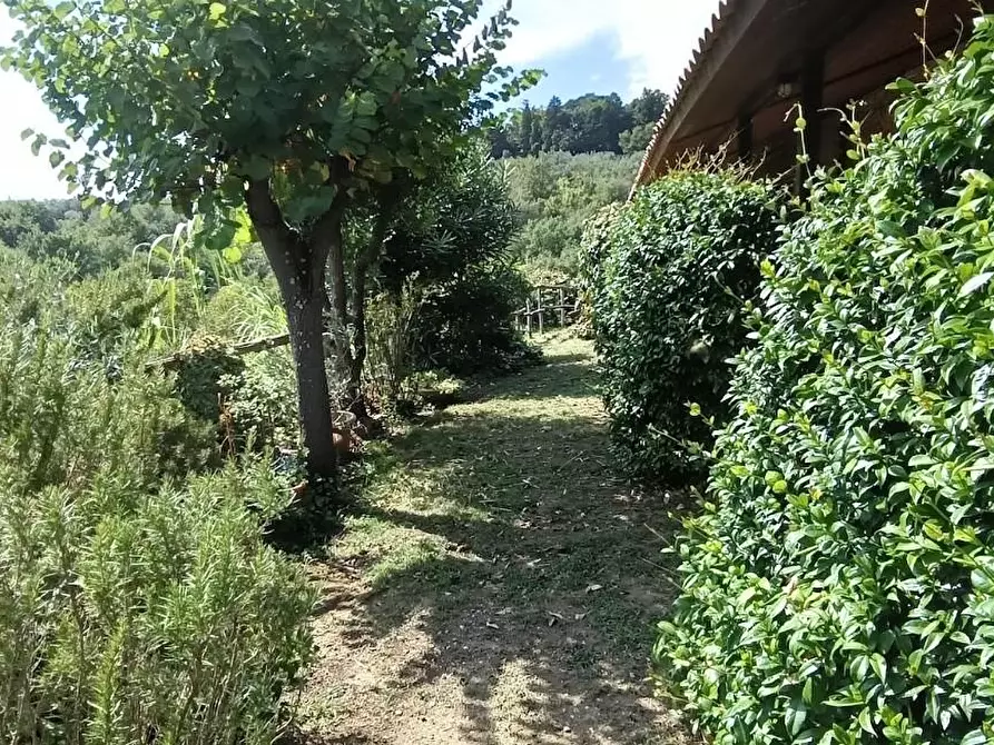 Immagine 14 di Casa colonica in vendita  a Lamporecchio