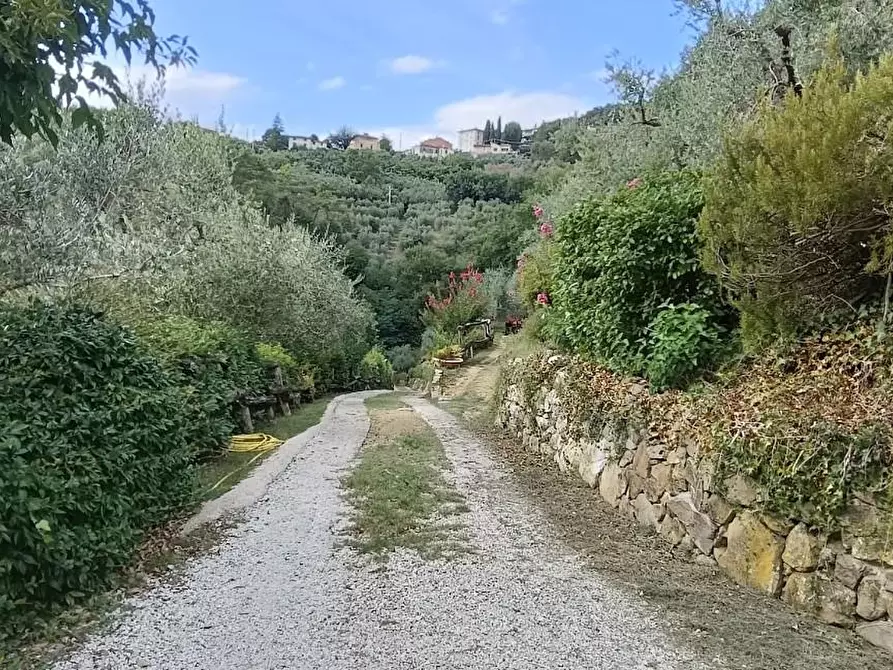 Immagine 43 di Casa colonica in vendita  a Lamporecchio