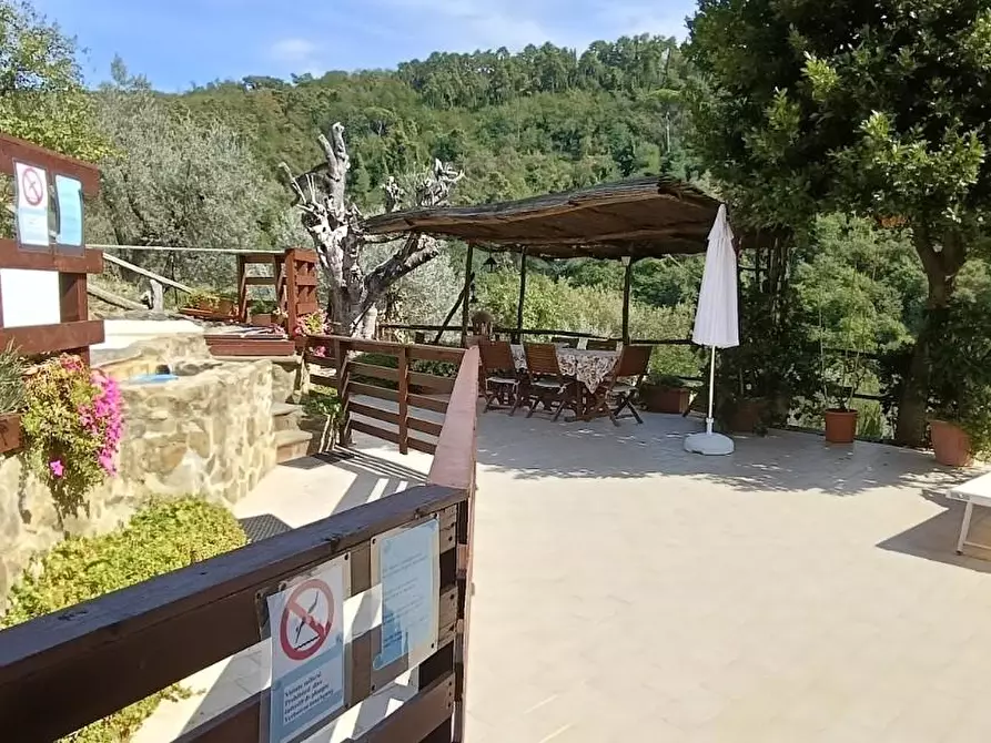 Immagine 5 di Casa colonica in vendita  a Lamporecchio