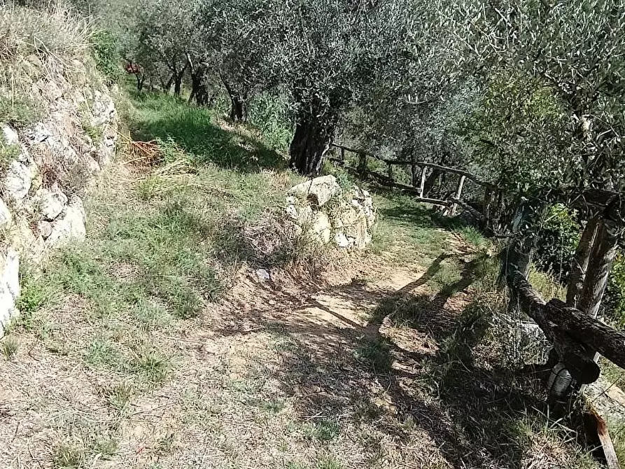 Immagine 10 di Casa colonica in vendita  a Lamporecchio