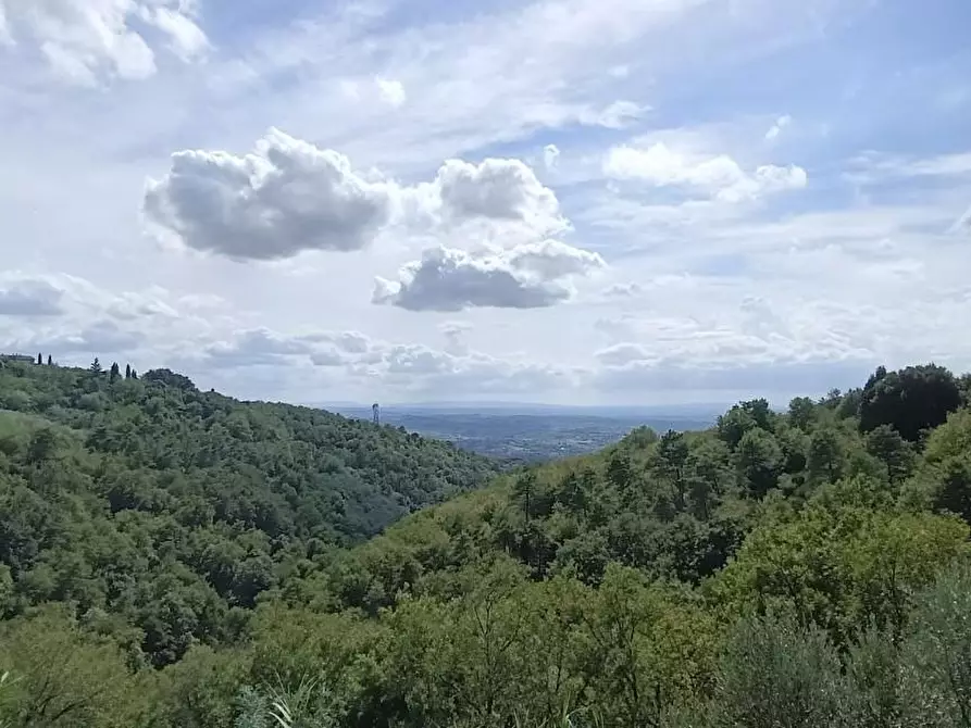 Immagine 48 di Casa colonica in vendita  a Lamporecchio