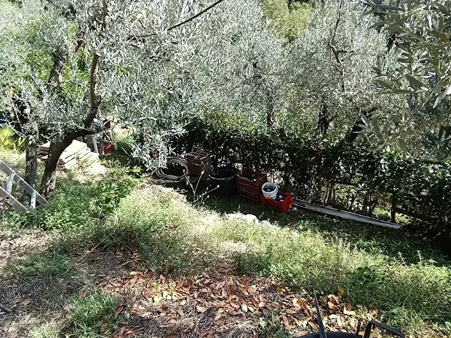 Immagine 12 di Casa colonica in vendita  a Lamporecchio
