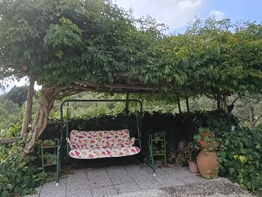 Immagine 38 di Casa colonica in vendita  a Lamporecchio