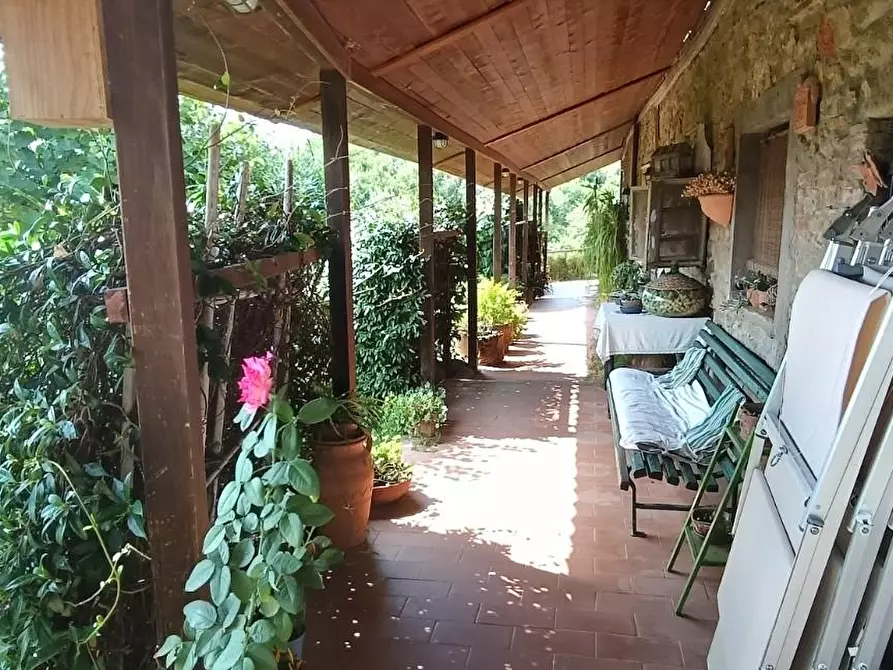 Immagine 17 di Casa colonica in vendita  a Lamporecchio