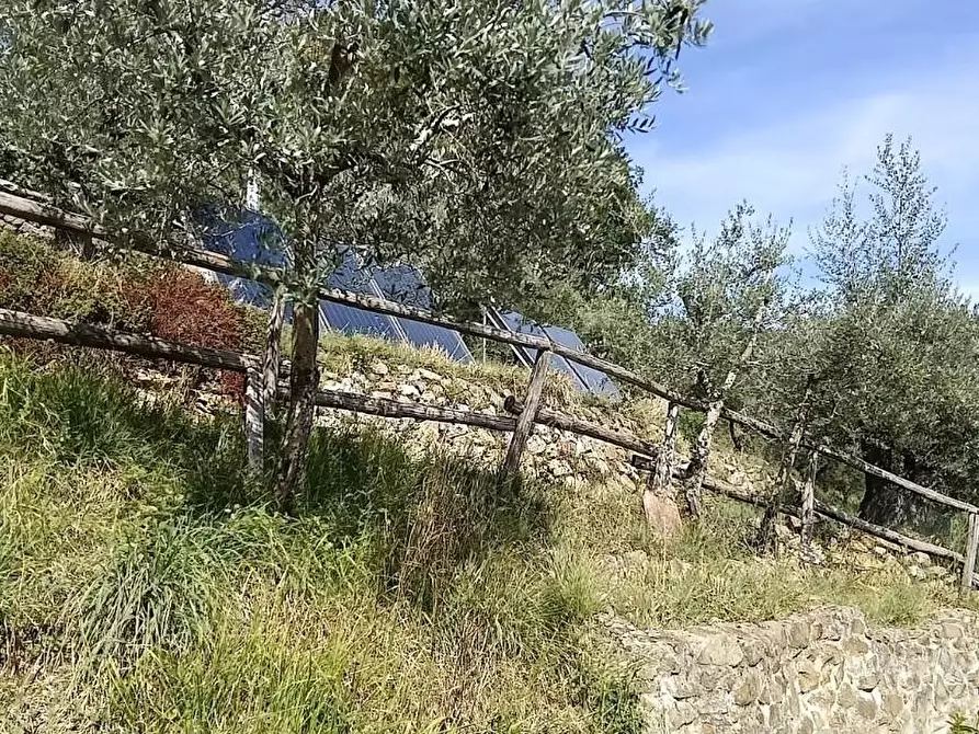 Immagine 13 di Casa colonica in vendita  a Lamporecchio