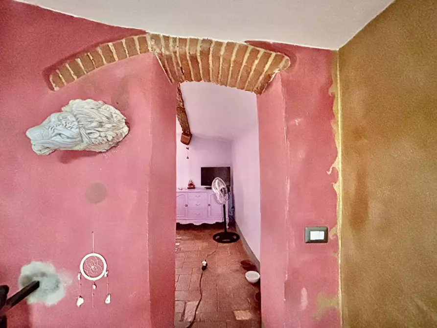 Immagine 13 di Terratetto in vendita  a Casciana Terme Lari