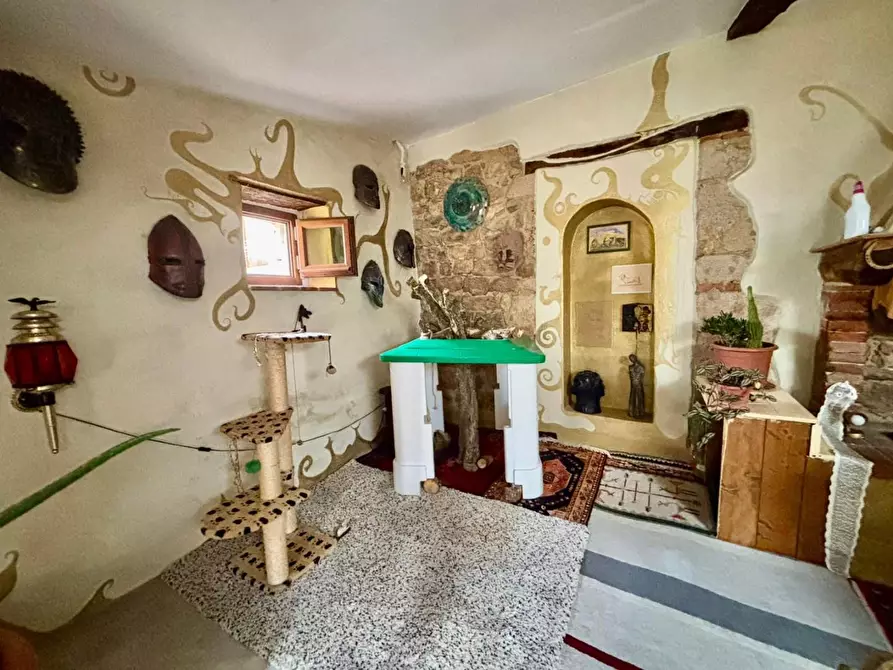 Immagine 5 di Terratetto in vendita  a Casciana Terme Lari