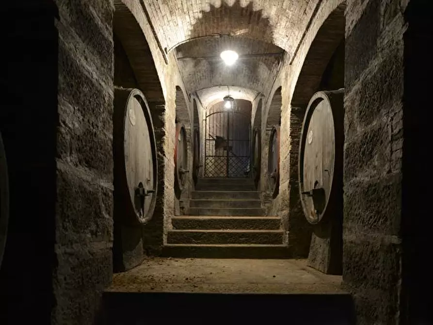 Immagine 27 di Villa in vendita  a Casciana Terme Lari