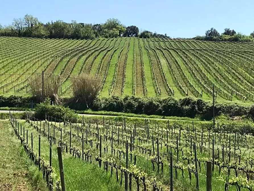 Immagine 1 di Villa in vendita  a Casciana Terme Lari