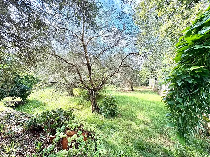 Immagine 22 di Casa bifamiliare in vendita  a Massa