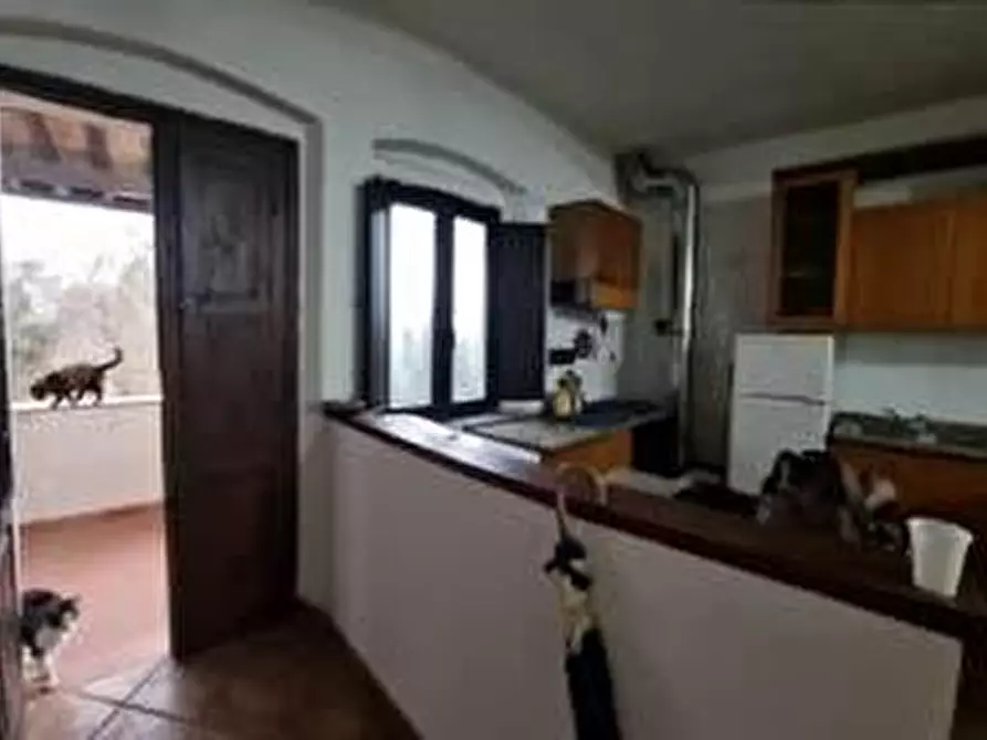 Immagine 2 di Appartamento in vendita  a Collesalvetti