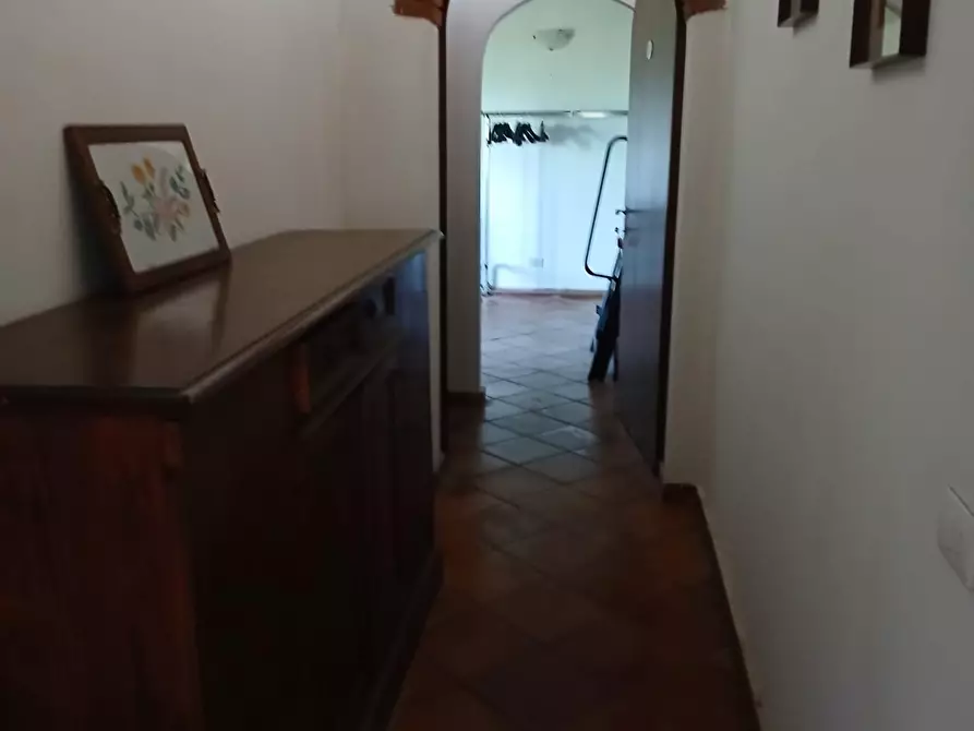 Immagine 58 di Appartamento in vendita  a Collesalvetti