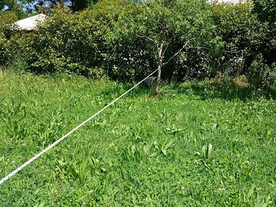 Immagine 45 di Appartamento in vendita  a Collesalvetti