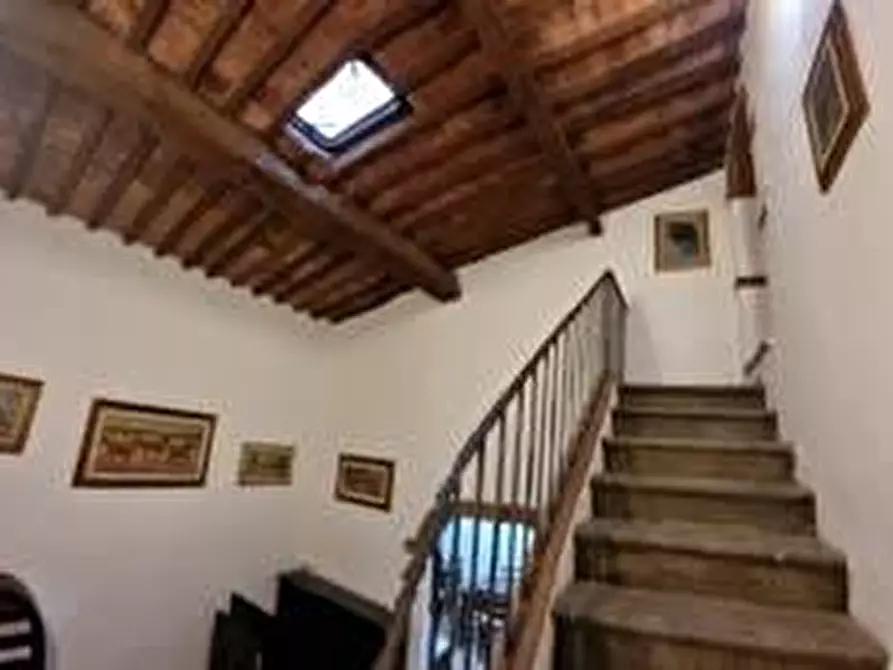 Immagine 15 di Appartamento in vendita  a Collesalvetti