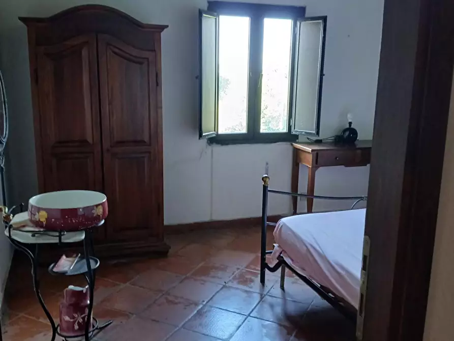 Immagine 57 di Appartamento in vendita  a Collesalvetti