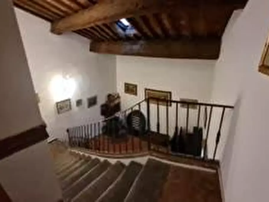 Immagine 18 di Appartamento in vendita  a Collesalvetti