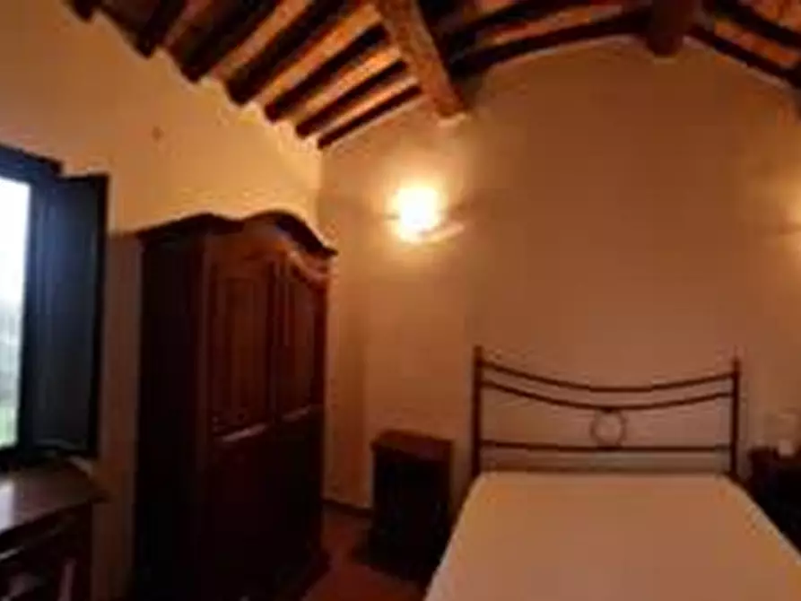 Immagine 21 di Appartamento in vendita  a Collesalvetti