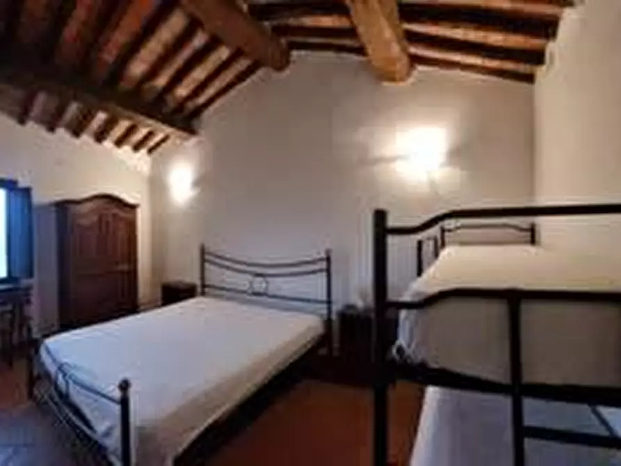 Immagine 19 di Appartamento in vendita  a Collesalvetti