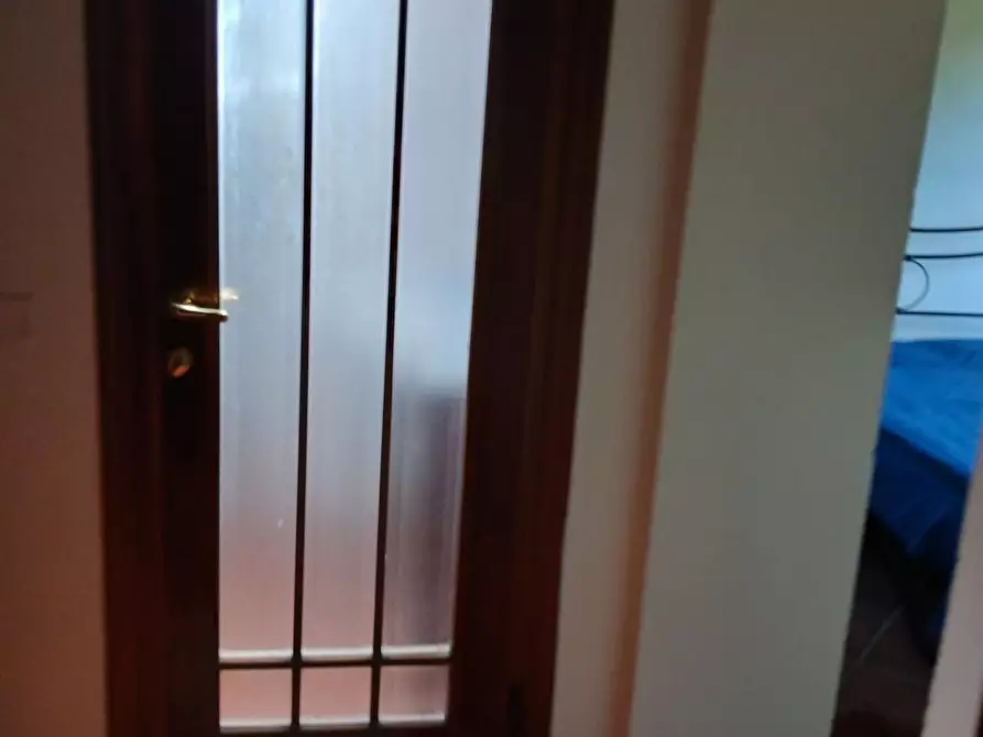 Immagine 56 di Appartamento in vendita  a Collesalvetti