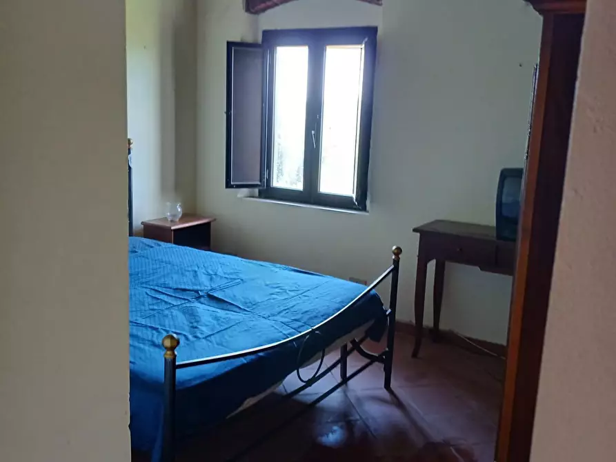 Immagine 55 di Appartamento in vendita  a Collesalvetti