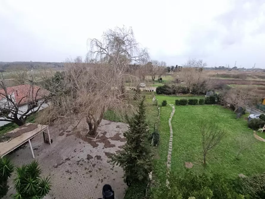 Immagine 33 di Appartamento in vendita  a Collesalvetti