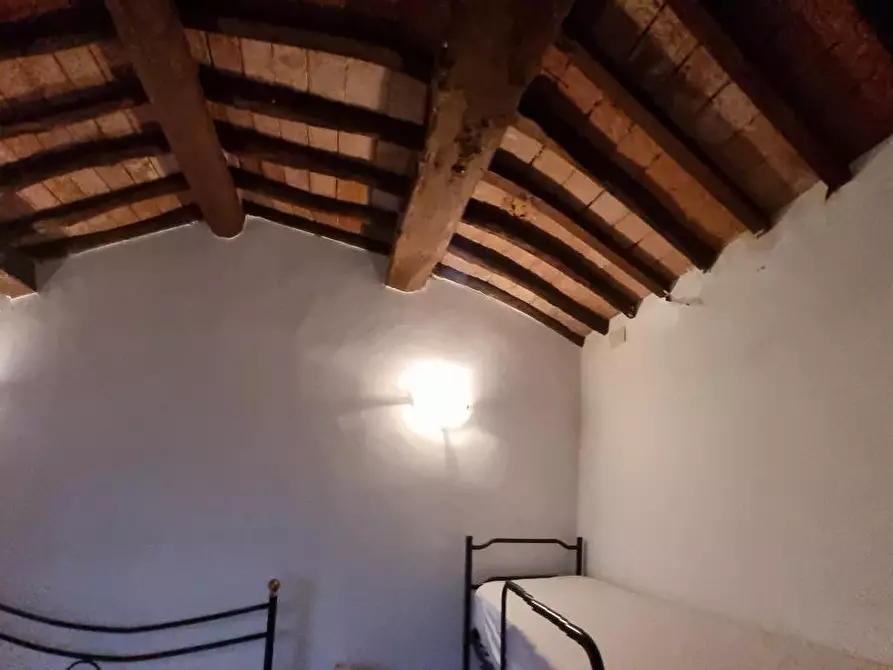 Immagine 23 di Appartamento in vendita  a Collesalvetti