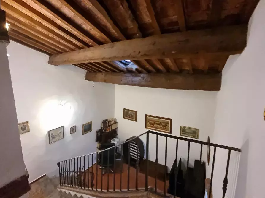 Immagine 17 di Appartamento in vendita  a Collesalvetti