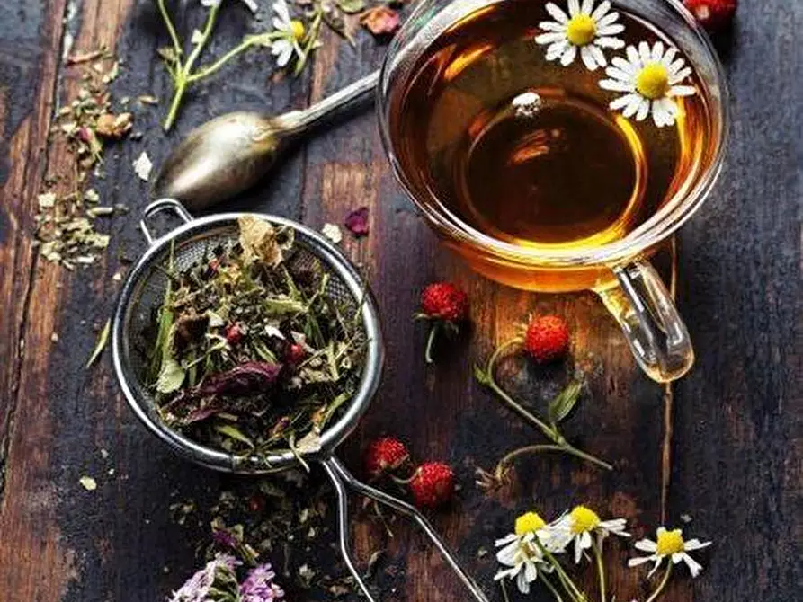 Immagine 7 di Bar / Ristorante in vendita  a Pisa