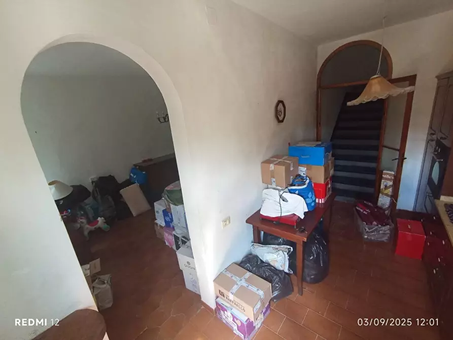 Immagine 6 di Terratetto in vendita  a San Giuliano Terme