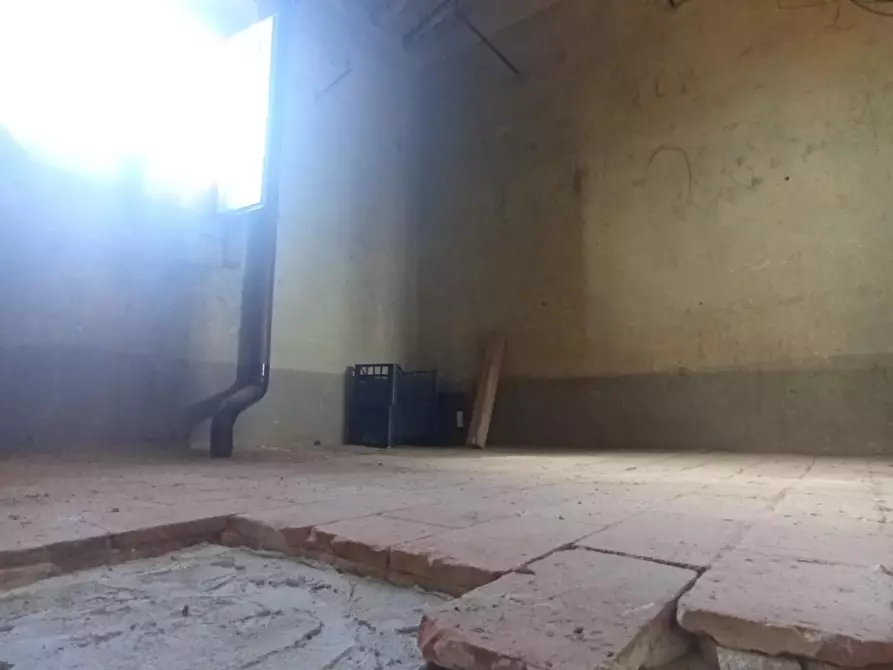 Immagine 5 di Terratetto in vendita  a San Giuliano Terme