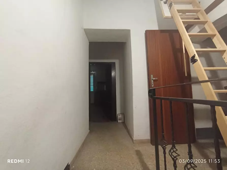 Immagine 8 di Terratetto in vendita  a San Giuliano Terme