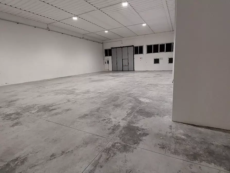 Immagine 3 di Attività artigianale in affitto  a Buti