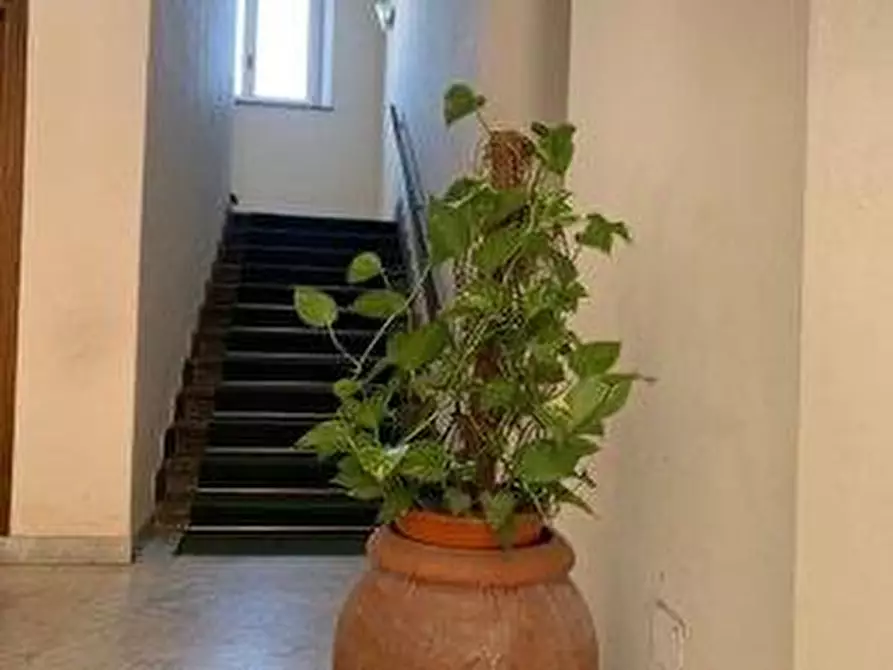 Immagine 24 di Appartamento in vendita  a Livorno