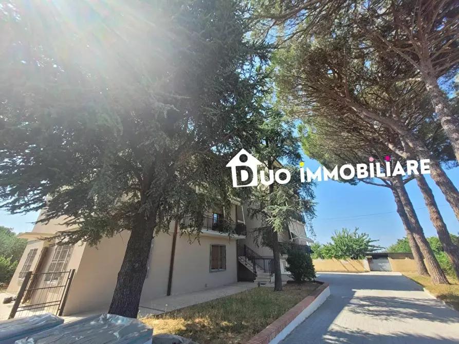 Immagine 16 di Appartamento in vendita  a San Giuliano Terme