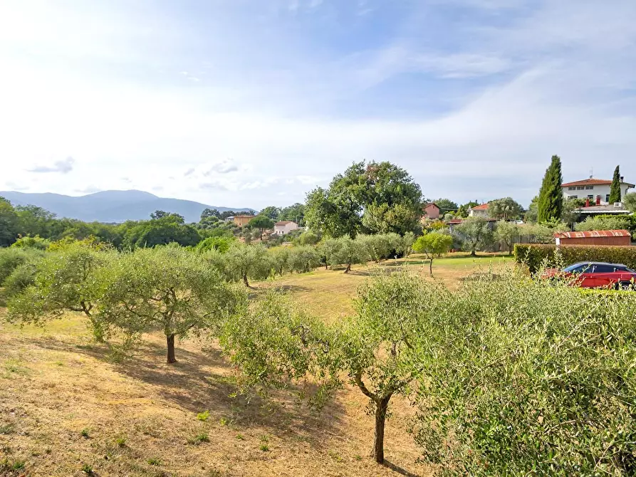 Immagine 7 di Villetta a schiera in vendita  a Santa Maria A Monte