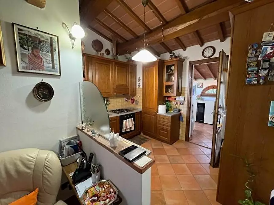 Immagine 2 di Villa in vendita  a Vecchiano